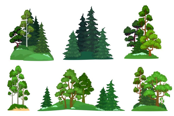 Leśne drzewa. Zielona jodła, kompozycja sosny leśnej i pojedyncze drzewa kreskówka wektor ilustracja zestaw - Wektor, obraz
