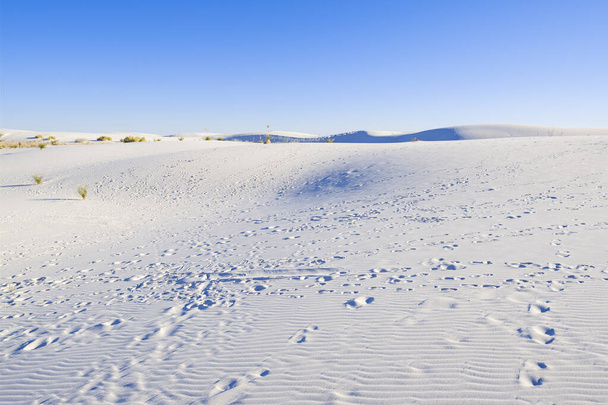 White Sands Gypsum Dunes - Fotó, kép