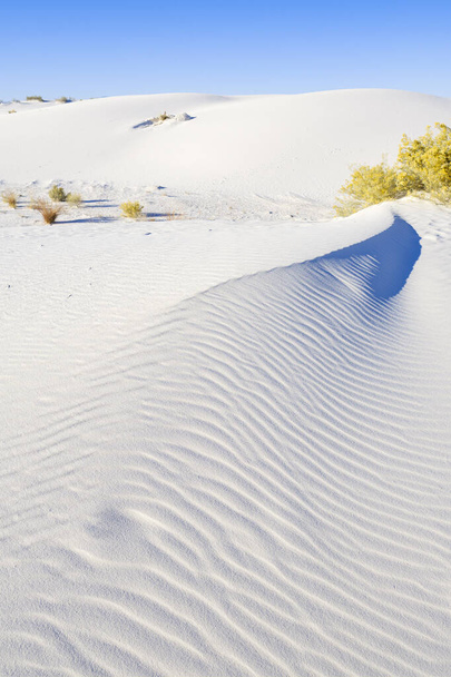 White Sands Gypsum Dunes - Foto, Imagem