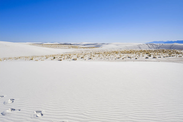 White Sands Gypsum Dunes - Φωτογραφία, εικόνα