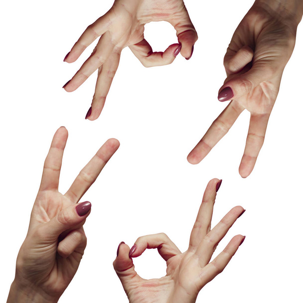manos femeninas que muestran la fecha 2020 con los dedos sobre fondo blanco aislado, concepto de año nuevo, números de ideas creativas se reúnen en el centro del marco
 - Foto, Imagen