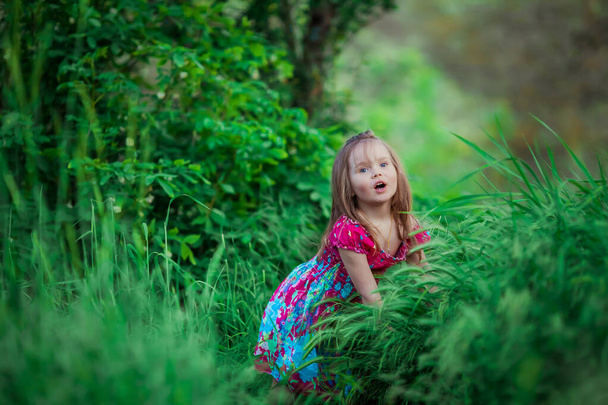 La chica se esconde en un matorral de espesa hierba verde en el bosque
 - Foto, Imagen