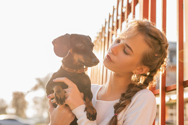 ティーン女の子保持彼女のダックスフンド犬で彼女の腕屋外で日没 - 写真・画像