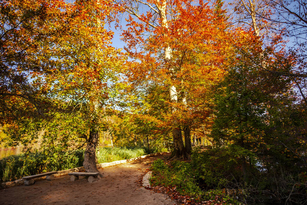 Autumnal ladscape of Plitvice Jezera Park, Croatia. - Zdjęcie, obraz