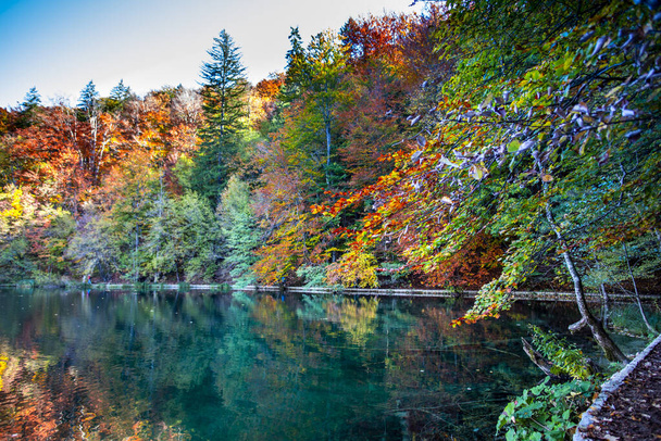 Pond in Plitvice Jezera Park, Croatia. - Foto, Bild