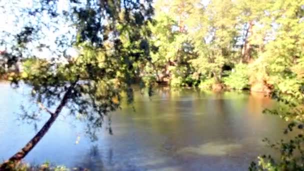 Lac avec l'arbre incliné
 - Séquence, vidéo