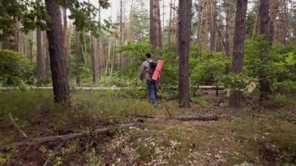 tourist man with backpack hiking in forest. Caucasian male hiker outdoors in nature. Tourist young man walks in forest with backpack. Travel Hiking, Forest, Journey concept. - Imágenes, Vídeo