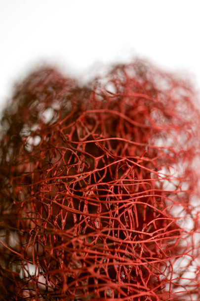 Κόκκινο λουλούδι παράξενο τροπικό λουλούδι φρούτα μακροεντολή φόντο πενήντα - Φωτογραφία, εικόνα