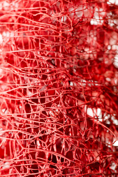 Fleur rouge étrange fleur tropicale fruit macro fond cinquante
 - Photo, image