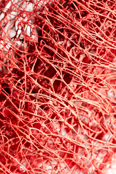 Fleur rouge étrange fleur tropicale fruit macro fond cinquante
 - Photo, image