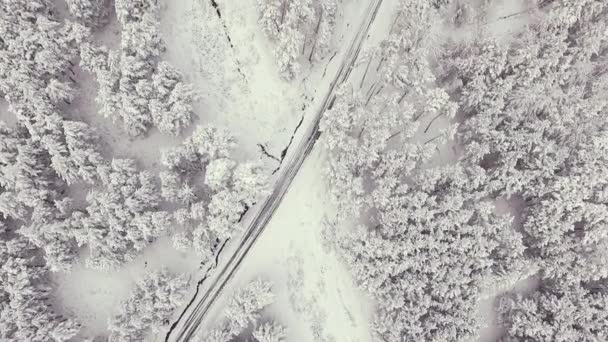 Droga krajowa w zaśnieżonym lesie zimą, widok z lotu ptaka. Malowniczy zimowy krajobraz. - Materiał filmowy, wideo