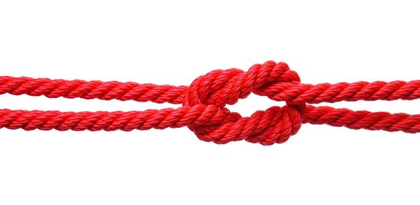 Ropes with knot on white background - Fotografie, Obrázek
