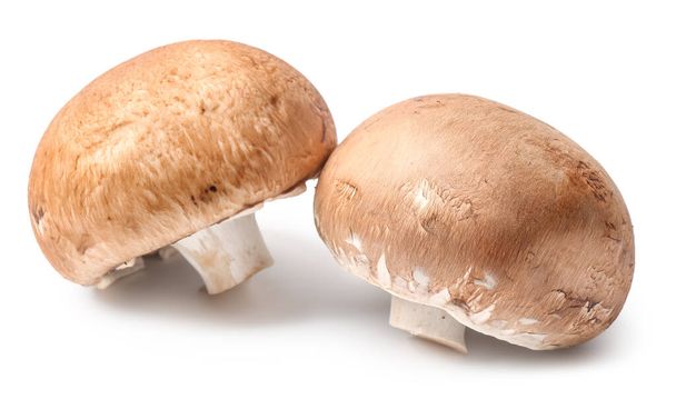 Fresh champignon mushrooms on white background - Photo, Image