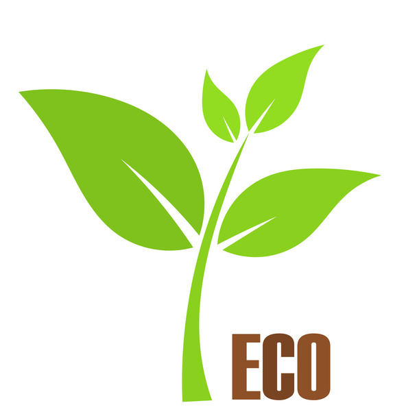 Eco plant - Vetor, Imagem