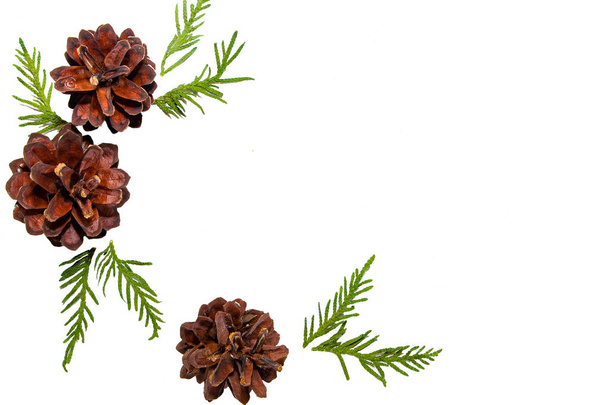 Composition décorative de Noël de cônes et de brindilles de sapin sur fond blanc. Place pour votre texte
. - Photo, image