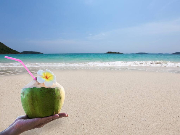 frische Kokosnuss in der Hand mit Plumeria am Strand mit Meereswellen Hintergrund dekoriert - Tourist mit frischem Obst und Meer Sand Sonne Urlaub Hintergrundkonzept - Foto, Bild