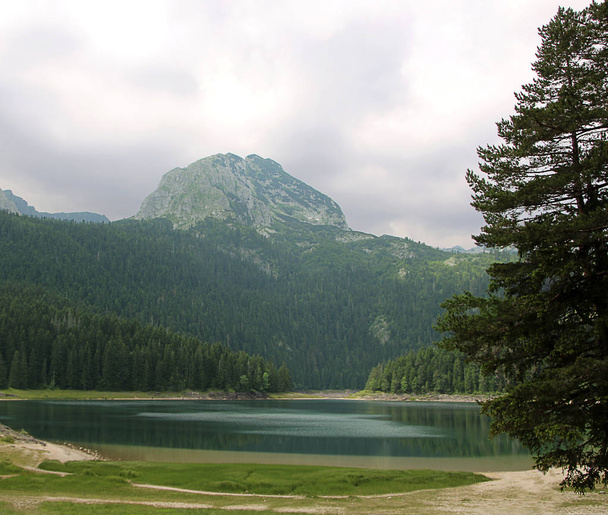 Lago Nero, Zablijak, Montenegro. Lago glaciale situato sul Monte Durmitor all'interno del Parco Nazionale di Durmitor, Montenegro
 - Foto, immagini