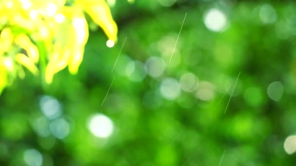 panning θολή σταγόνα βροχής στον κήπο και πράσινα φύλλα που κινούνται με τον άνεμο - Πλάνα, βίντεο
