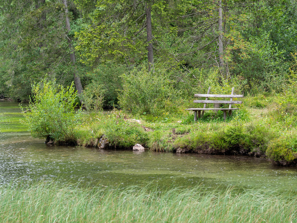 Bench near pond in forest - Photo, Image