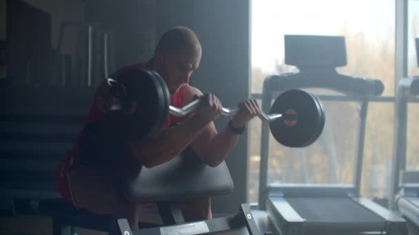 Pohledný muž dělá biceps zvedání činka na lavičce v tělocvičně - Záběry, video