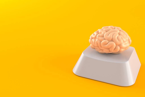 Brain on computer key - Фото, изображение