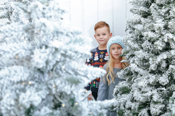 Christmas holiday through the eyes of children - Photo, Image