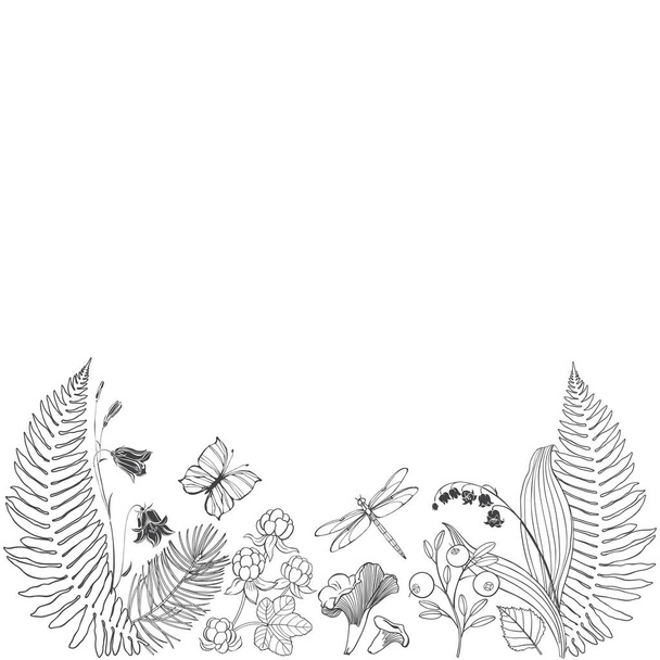 Frontera floral con flores silvestres, plantas forestales y espacio para el texto. Ilustración vectorial en blanco. Invitación, tarjeta de felicitación o un elemento para su diseño
. - Vector, Imagen