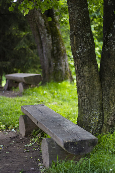 Wooden benches with table in the forest. Place for the rest and relax in park. Old outdoor furniture. Place for picnic. Tourism in autumn. September concept - Fotografie, Obrázek