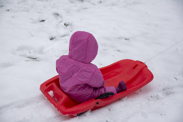 baby having fun with sledge  - Photo, Image