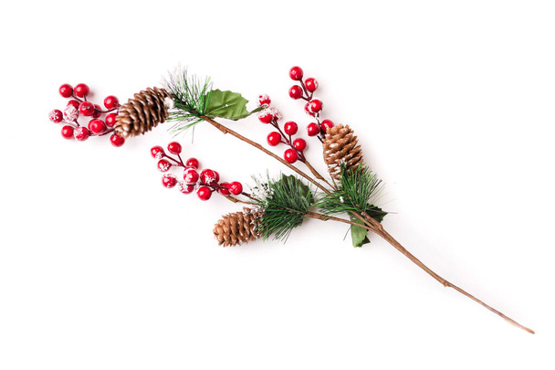 Fir branch isolated on white background - Photo, image