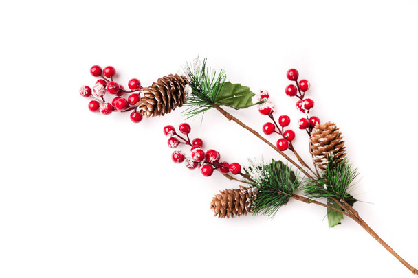 Fir branch isolated on white background - Foto, Imagen