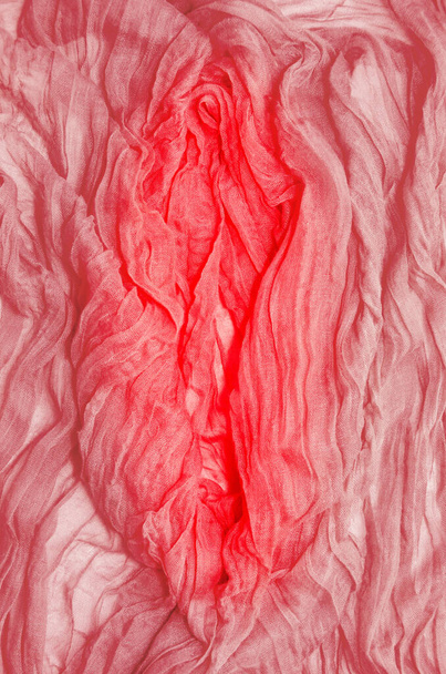 Sanatsal vajina. Tekstil soyut arka planı. Kadın üreme organı şeklinde yumuşak pembe kumaş, vajina. - Yakın çekim. Üst görünüm - Fotoğraf, Görsel