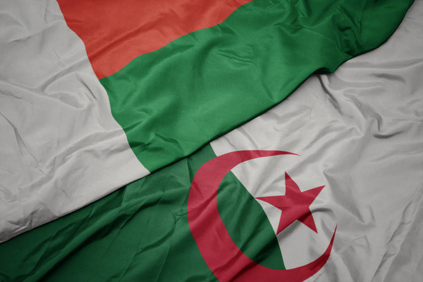 махаючи барвистим прапором Алжиру та національним прапором мадагаскару
. - Фото, зображення