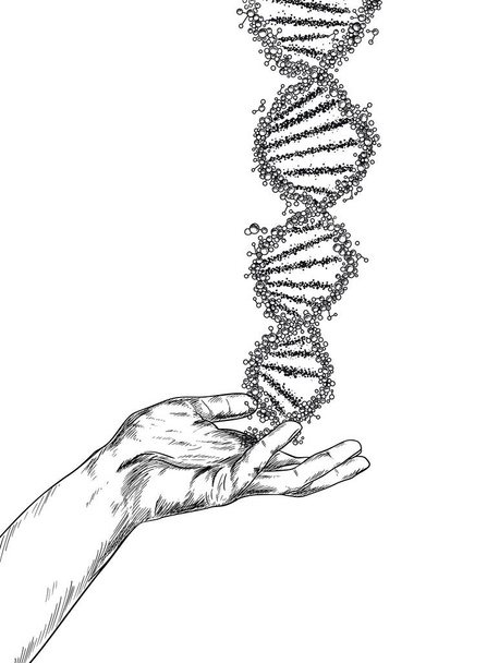 Ручная рисованная рука держит большую спираль ДНК
 - Вектор,изображение