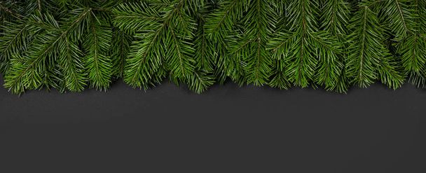 Christmas border of fir branches - Фото, зображення