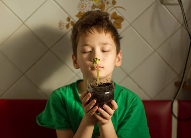 Chłopiec z ospą wietrzną rosną rośliny - Zdjęcie, obraz