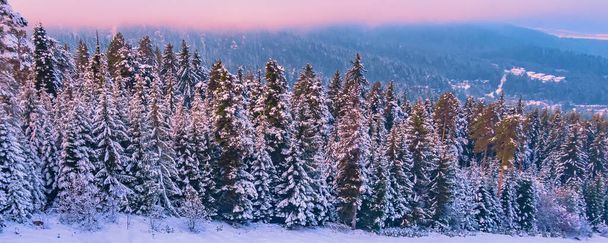colorful sunset in snow mountains forest - Photo, Image