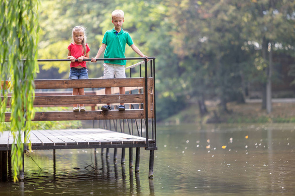Δύο παιδιά, αγόρι και κορίτσι, στέκονται στο ξύλινο κατάστρωμα, σε μια λίμνη Σορ. - Φωτογραφία, εικόνα
