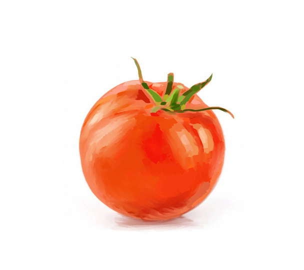 Tomato illustration isolated on background  - Foto, Bild