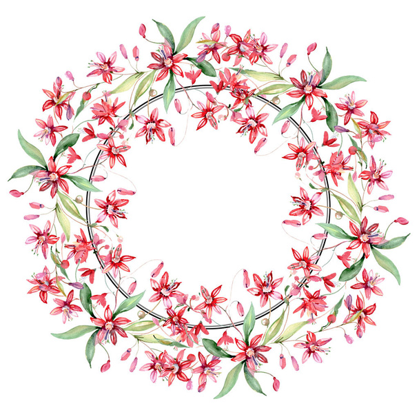 Rode bloemen botanische bloemen boeket. Aquarel achtergrond illustratie instellen. Frame rand ornament vierkant. - Foto, afbeelding