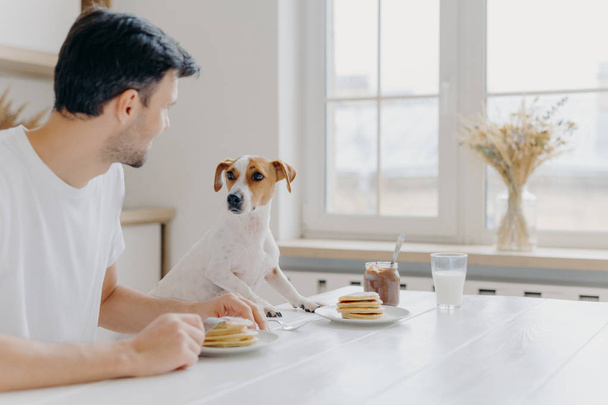 Horizontal shot of man and dog eat together, pose at kitchen table against big windoww, look at each other, have good relationship, enjoy domestic atmosphere. Home, animals, nutrition concept - Foto, afbeelding