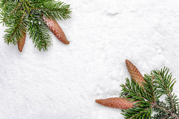 Christmas white background with snow and christmas tree branch with pine cones, flat lay, top view - Photo, Image
