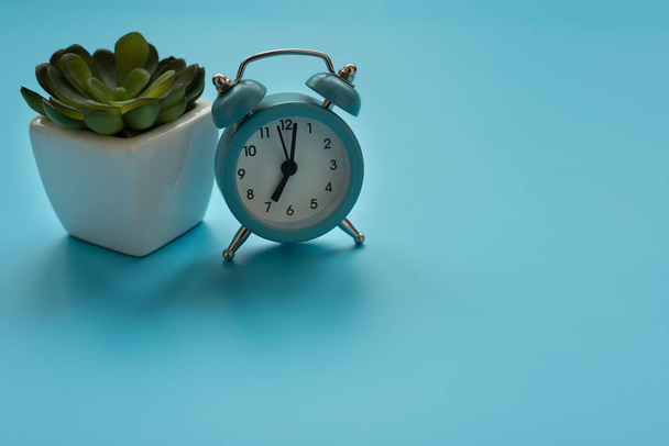 Alarm clock and flower pot on blue background. Front view. Copy space - Zdjęcie, obraz