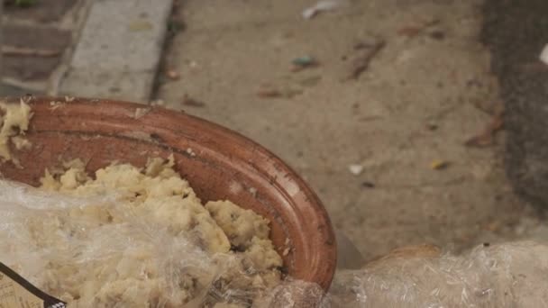 Традиционный сардинский сыр с червями. Касу Марзу, сардинский сыр с личинками Пиофилы Касеи. Запрещённые и незаконные
. - Кадры, видео