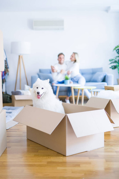Young beautiful couple with dog sitting on the sofa at new home around cardboard boxes - Photo, Image