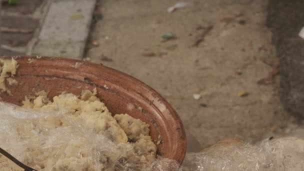 Queso tradicional sardo con gusanos. Casu Marzu, queso sardo con larvas de Piophila Casei. Prohibido e ilegal
. - Metraje, vídeo