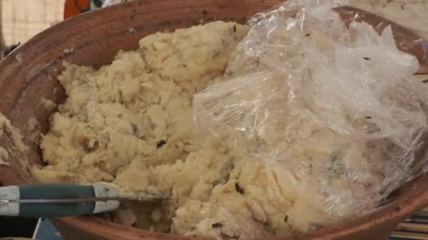 Traditional Sardinian cheese with worms. Casu Marzu, sardinian cheese with larvae of Piophila Casei. Banned and illegal. - Footage, Video