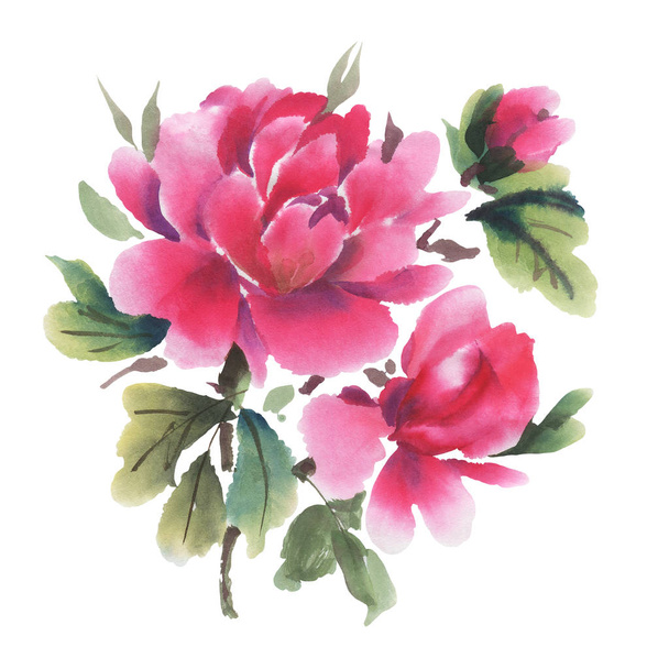 Watercolor  flowers isolated on a white background.  Peonies. Hand-drawn illustration.  - Foto, Bild