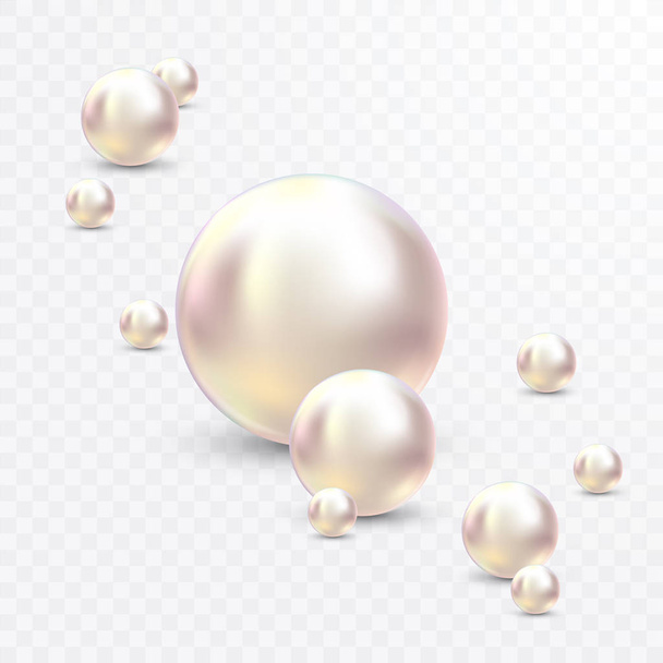 Vector Illustration for your design. Luxury beautiful shining jewellery background with white pearls vector illustration. Beautiful shiny natural pearls. With transparent glares and highlights for - Vector, imagen