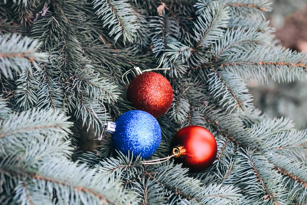 Juguete de Navidad en las ramas de un árbol de Año Nuevo. Árbol de Navidad decorado con una bola festiva
 - Foto, Imagen